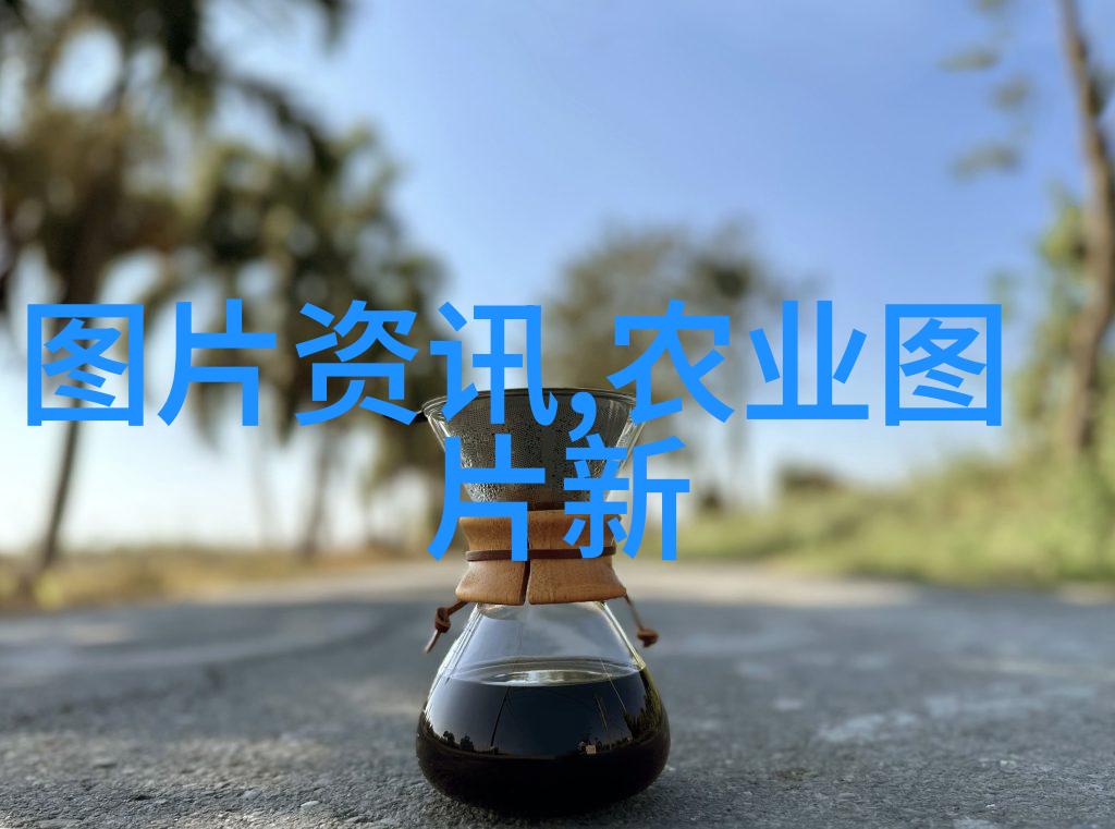 茶的奇妙世界各种各样的茶及其健康益处