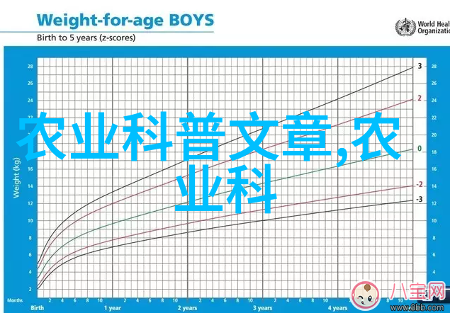 蜂蜜与哼哈养蜂秘笈