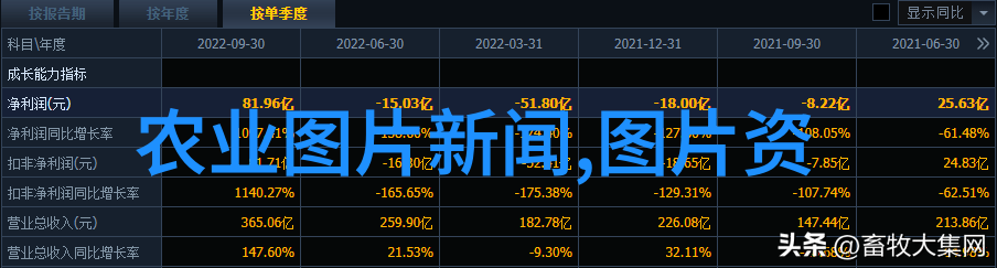 茶香缤纷品鉴全球十大独特茶叶种类