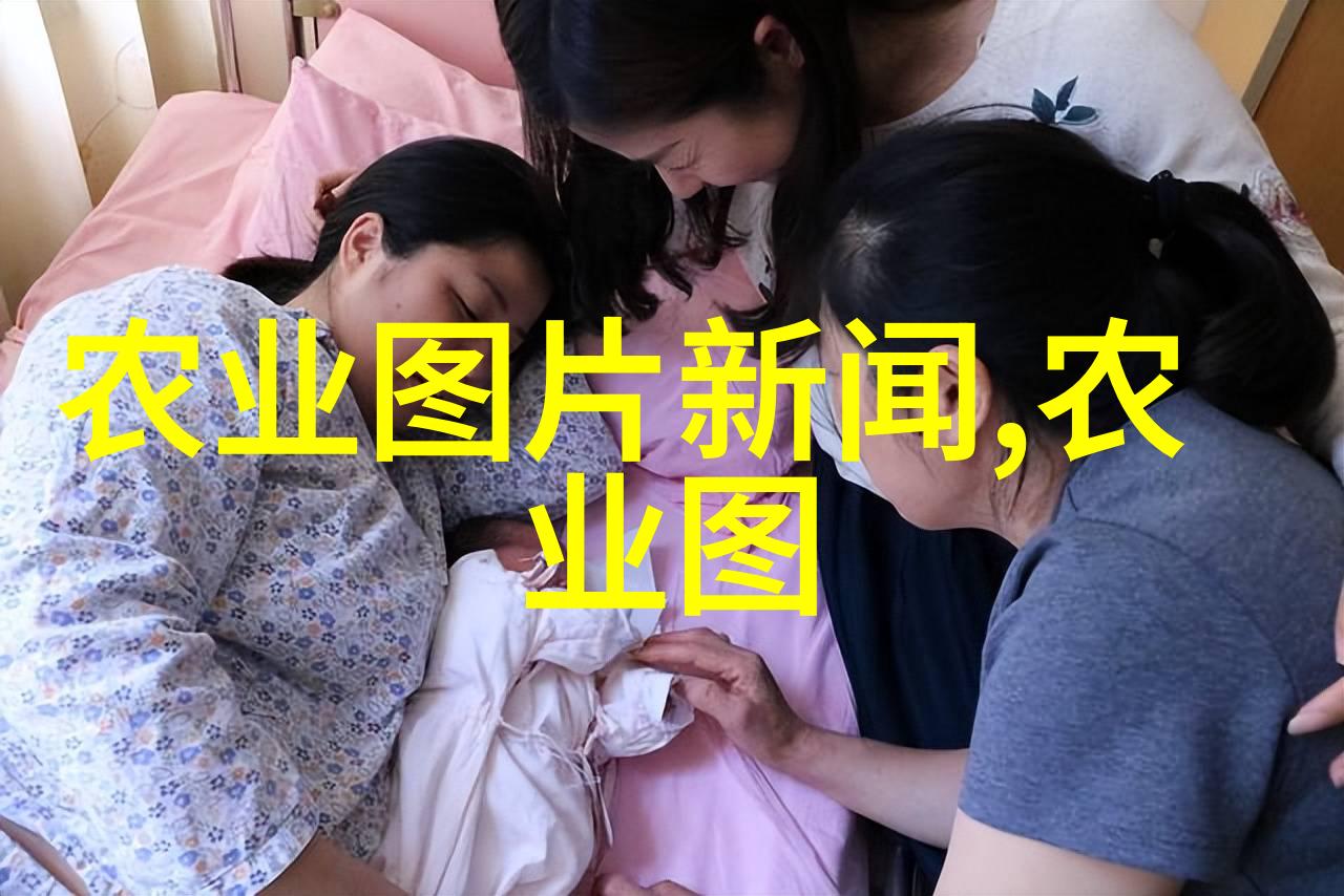 坐在教授的棍子根茎上写我是如何在课堂边缘发现文学的美妙世界的