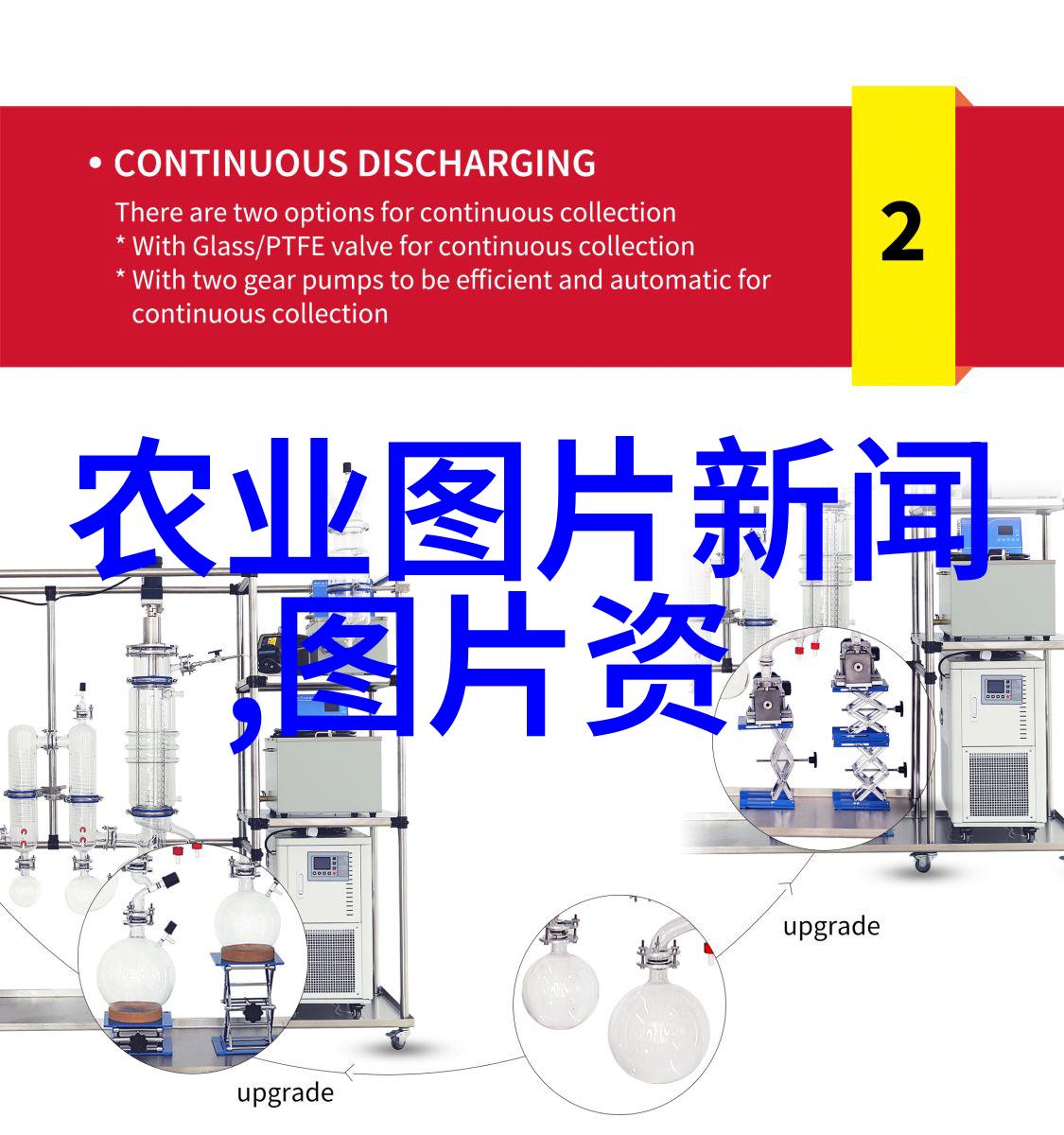 苗木网大全-绿意盎然探索完美园艺的苗木网大全