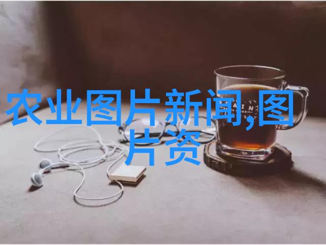 蜜蜂养殖技术提高效率的现代方法