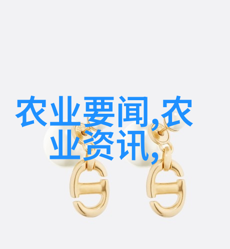 二师兄的修炼之路