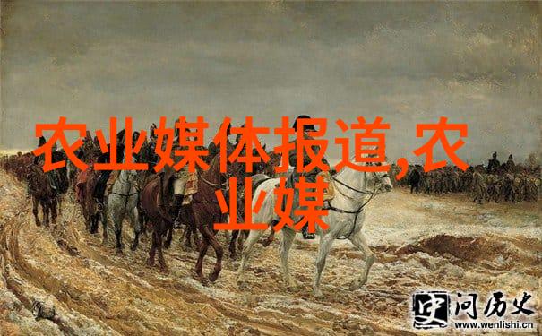 countryside chronicles 解析和探讨农村生态环境与政策变迁的500个问题