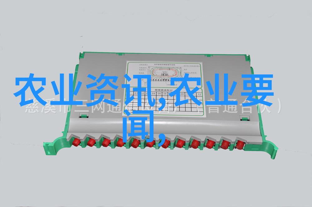 羊群新寓如何在家中建造羊大棚变身为现代牧场主