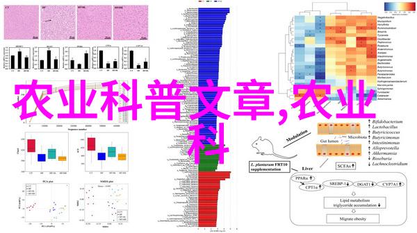 敕勒川流域的环境变化对当地生态有何影响