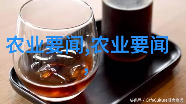 广玉兰花卉直径60公分优质广玉兰的市场价格