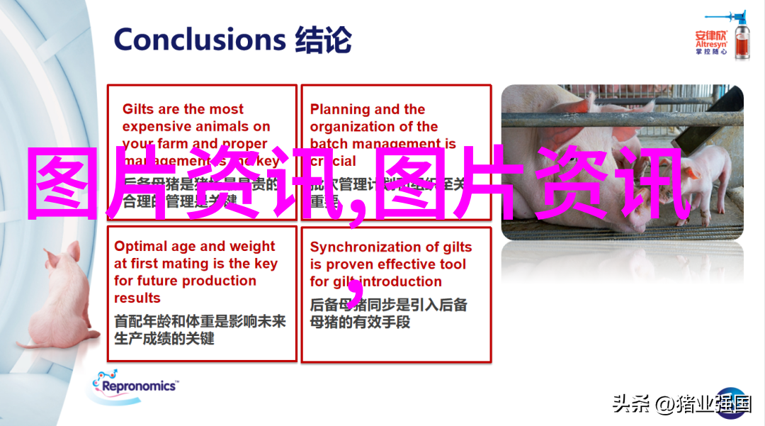 羊到哪学我讲你讲羊文化圈