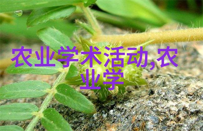 南方农村报 - 丰收喜讯南方农村报独家揭晓今年粮食产量预测