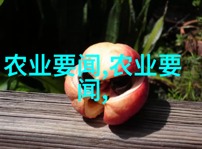 蜂族宝库蜜蜂的神奇工具与秘籍