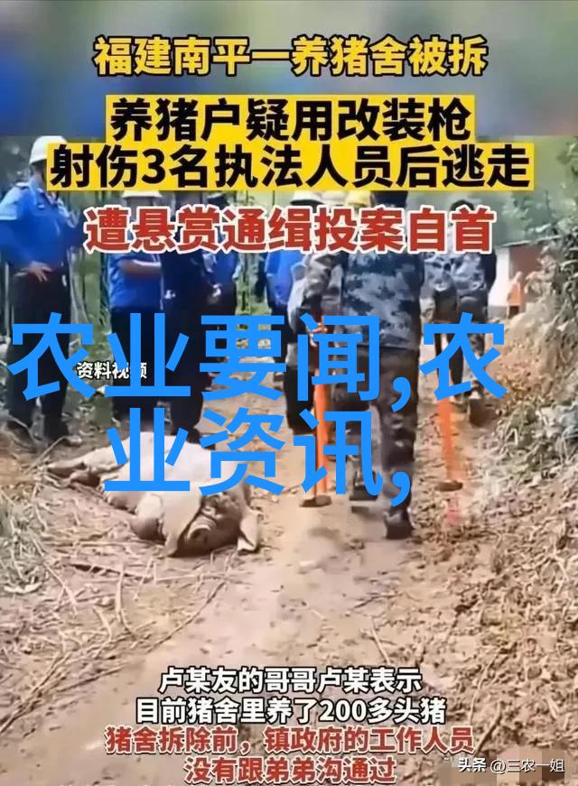 民法典的物之尊严权利与责任的双刃剑