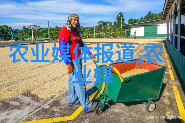 探索那些以独特香味著称的茶叶品种