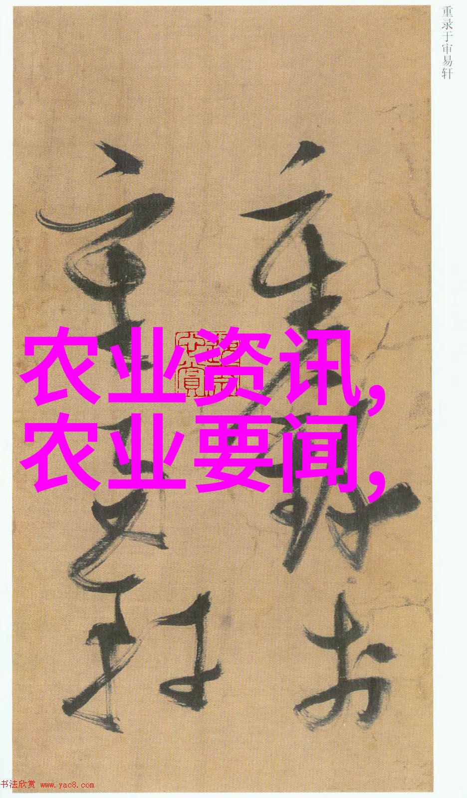 三农种植致富技术视频自然环境下富贵竹发黄急救方法