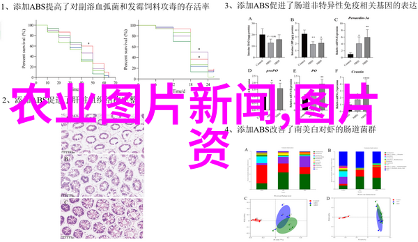 戒色吧我是如何在不再纠结中找到前行的力量