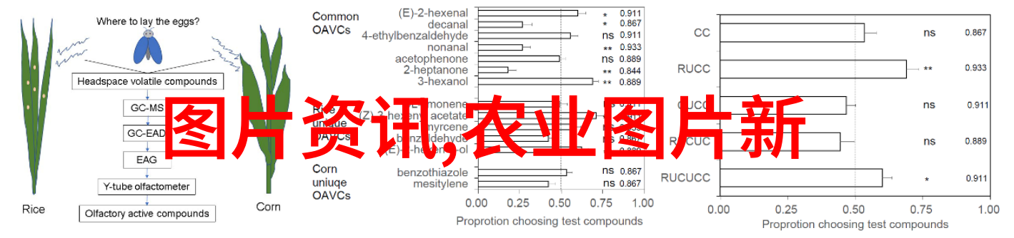 农业机械的革命性进步重塑田野的未来