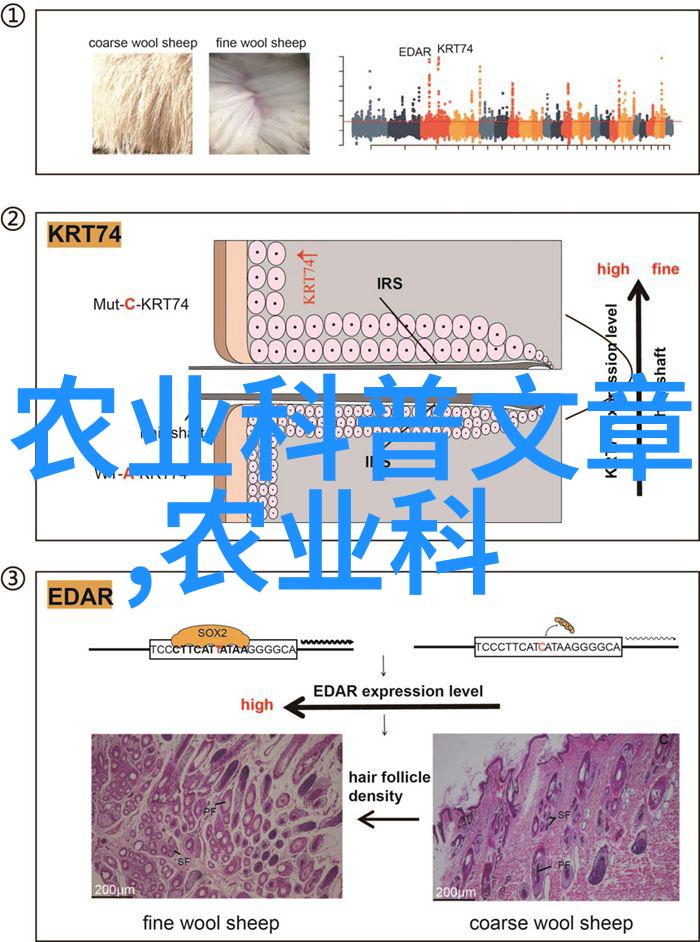 智能水产养殖新纪元精准管理引领行业变革