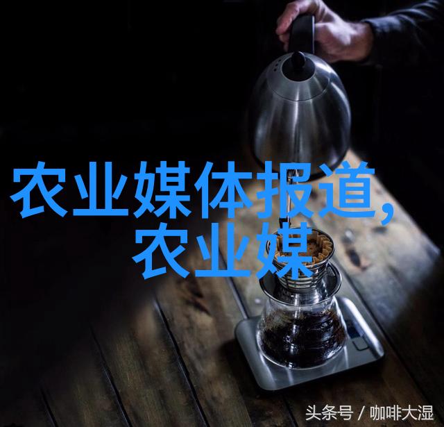 中国最贵的茶叶4亿我听说了一个震惊全球的消息一杯中国的茶叶卖到了四亿你信吗这不仅是对茶叶价值的一次翻