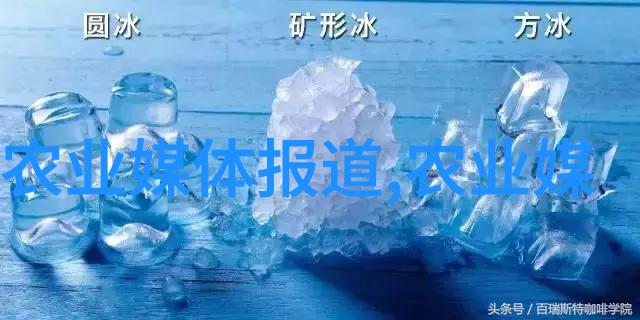 主题-文章标题丰收的序曲探访附近的果树苗圃基地