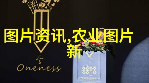 推动农业现代化农业机械化促进法实施路径与机遇探讨