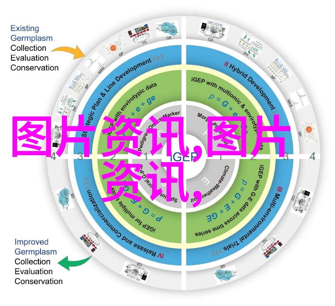 全国最大牛蛙养殖基地的故事