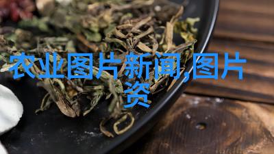 旺盛绿意10种引领家居风尚的植物好物