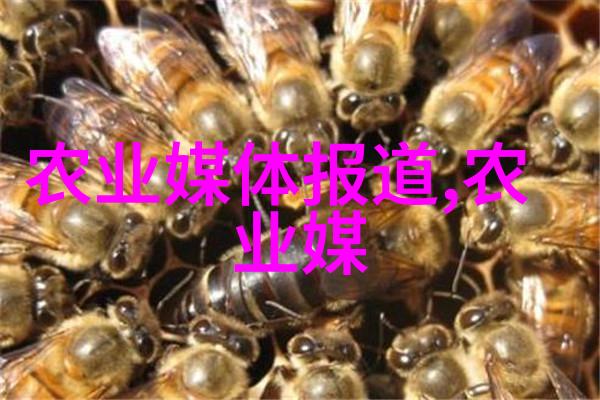 宠物园丁手记教你如何用爱惯留住蜜蜂不让它们飞走