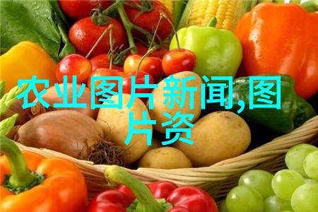 肉狗养殖技术高效饲养方法与现代化管理系统