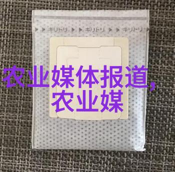 茶道的内涵品味人生我如何在一壶茶里找到了生活的智慧