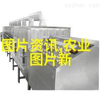 蝇蛆养殖新篇章高效益的生物资源利用技术