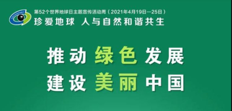 夏日花海里的勤劳小蜜蜂揭秘它们如何收集信息与资源