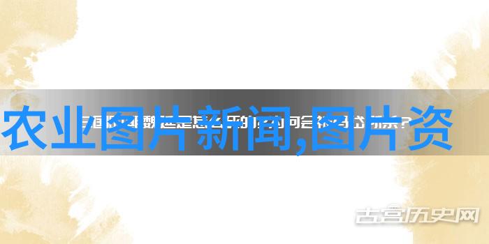 重庆市黔江区白土乡融入国家防疫政策最新规定二十条加速食用菌产业发展取得初见成效