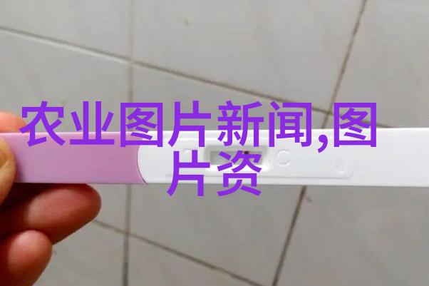 茶叶的药用价值有哪些 - 解密绿茵探索茶叶的传统药用价值与现代应用