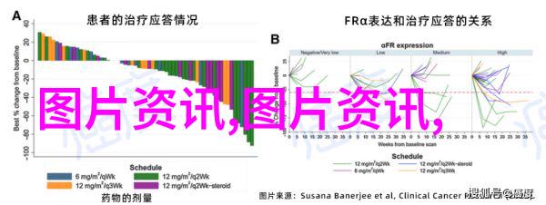 圈养50只羊一年能赚多少钱我是如何把这点小本生意变成稳定的收入来源的