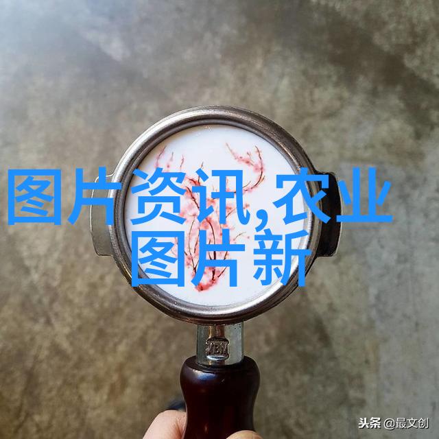 新闻 最新消息摘抄 - 独家报道全球疫情最新动态与经济复苏前景分析