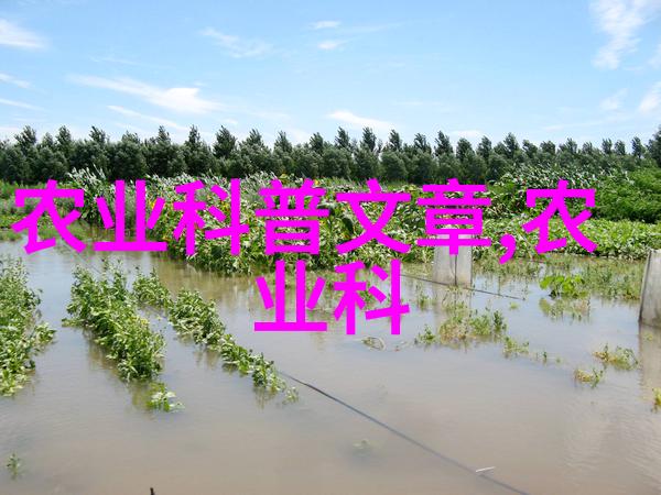 云南省新平县羊肚菌种植致富梦2022民法典全文指引新希望孕育之路法律保障双轮驱动