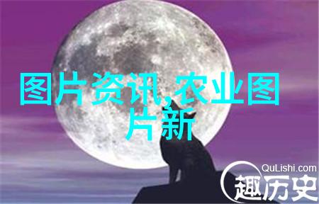 岳的毛太浓探索头发密度之谜