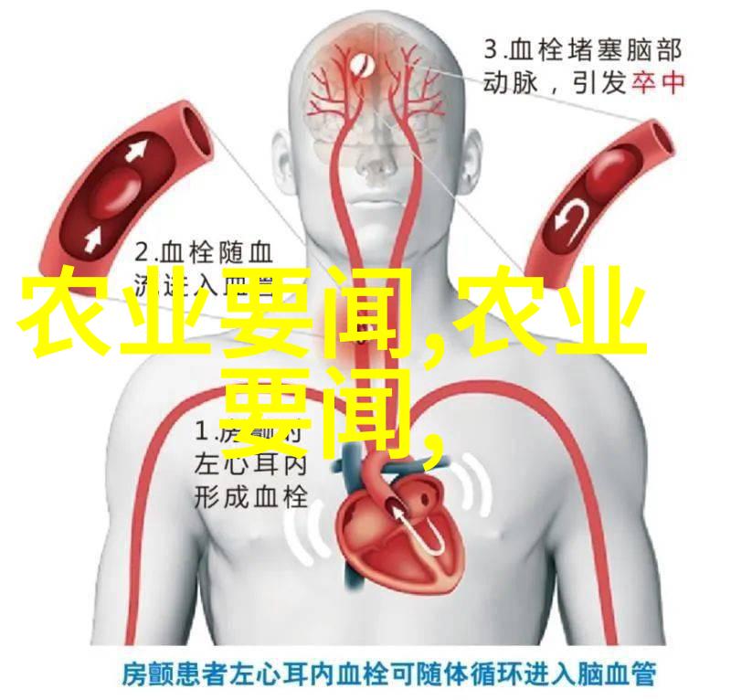 文竹的养殖方法与注意事项文竹栽培技巧文竹病虫害防治文竹生长环境要求