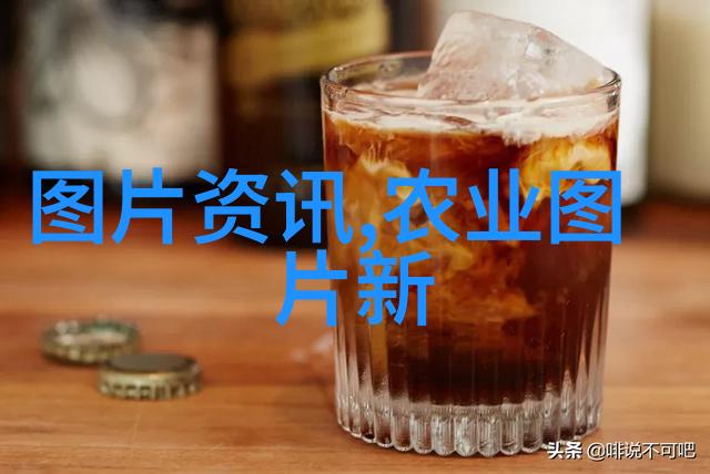 鸽子养殖技术研究繁育管理与饲料创新策略