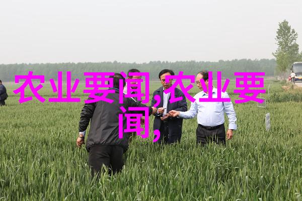 农药肥料-精准施用解析现代农业中的农药肥料管理策略