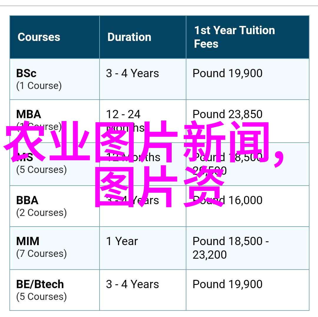 懒人种植果树的高效方法