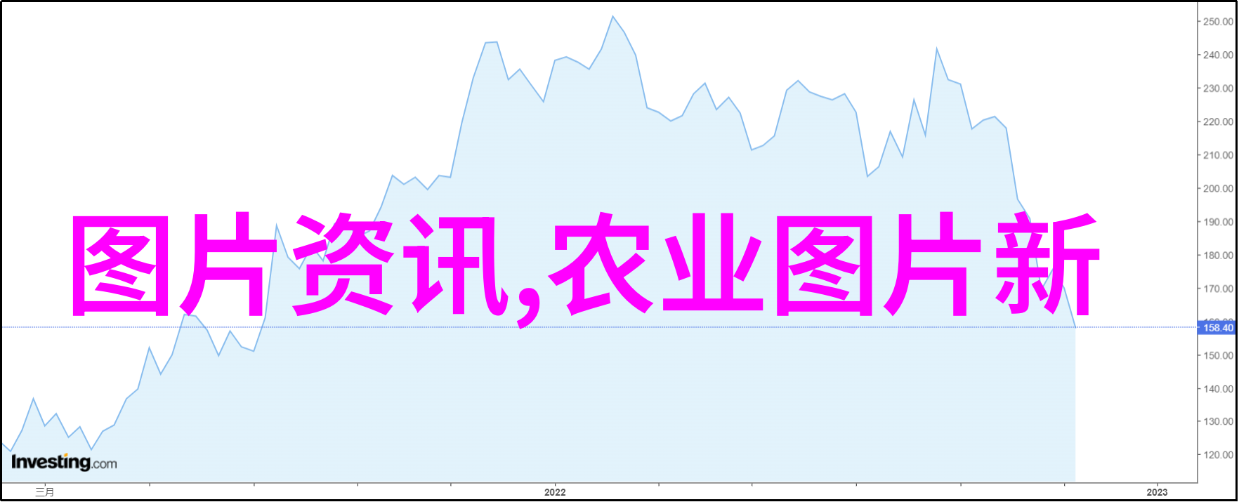 地洞养蜂技术-深邃的蜂巢探索地下世界中的蜜蜂王国