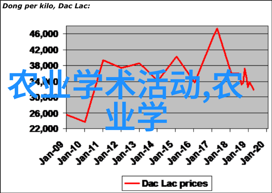 家中财气旺的奇草守护幸福的绿意盎然