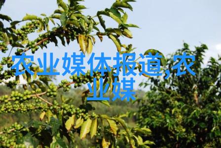 泥鳅养殖大师从泥沼到餐桌的奇妙历程