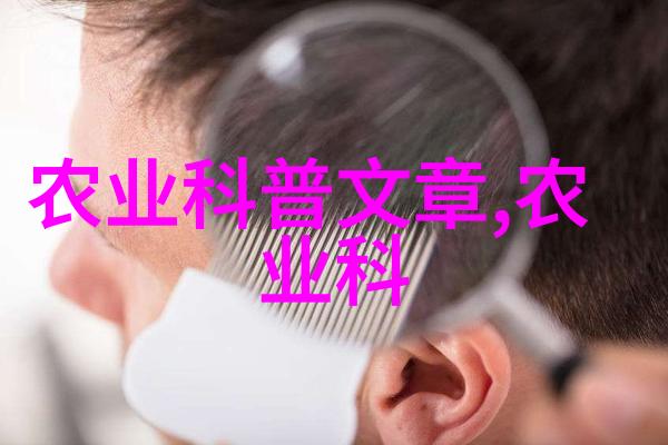 灵活性强的多功能式皮帶機如何设计来满足不同用途