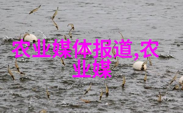 蜜蜂的逆袭300只工蜂养出一位奢华生活的蜂王