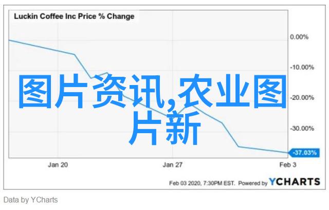 石蛙养殖技术与经济效益的融合实践