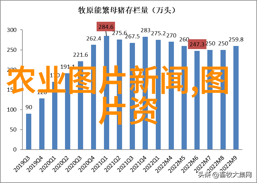 河流绿岸水土保持工作的生动实践