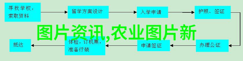 丰收的脚步玉米网下的乡村振兴故事