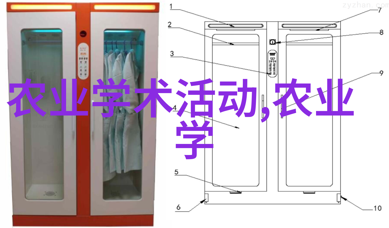 从叶到花从香到韵探索茶树在定义中的多重面貌