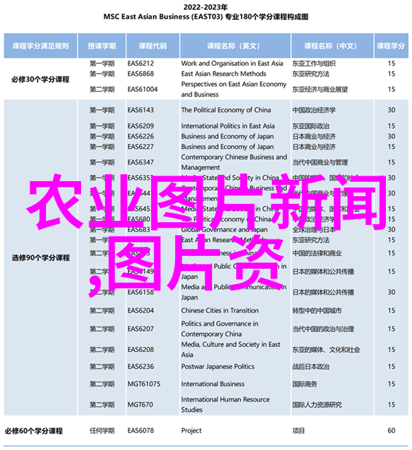 叶县小花菇梦想大爆发常规法律助力致富新篇章